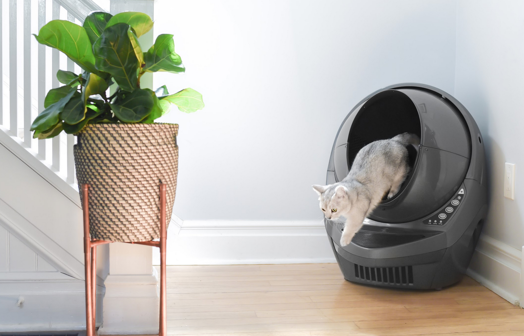 litter robot enclosure